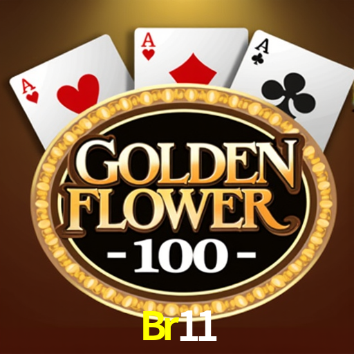 Br11.Com