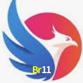 Ofertas Imperdíveis na Br11: Promoções e Bônus Que Valem a Pena