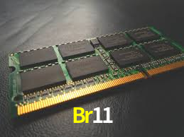 Br11